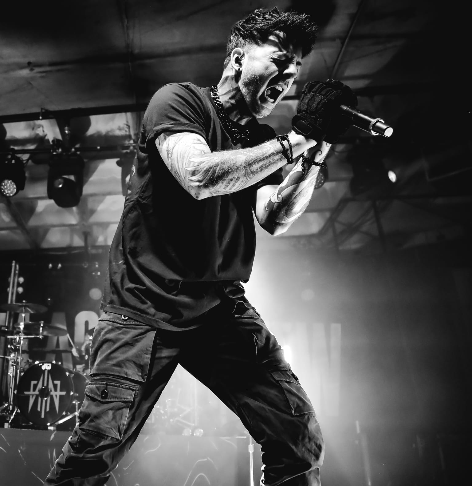 From Ashes To New photo 1